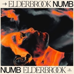 Watch Music Video for 'Numb' by Elderbrook